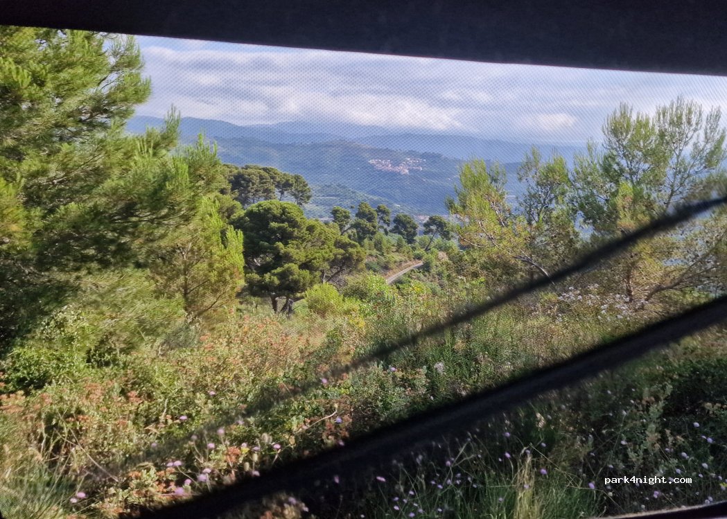 (18017) Cipressa - Strada Antica Torre — foto 5