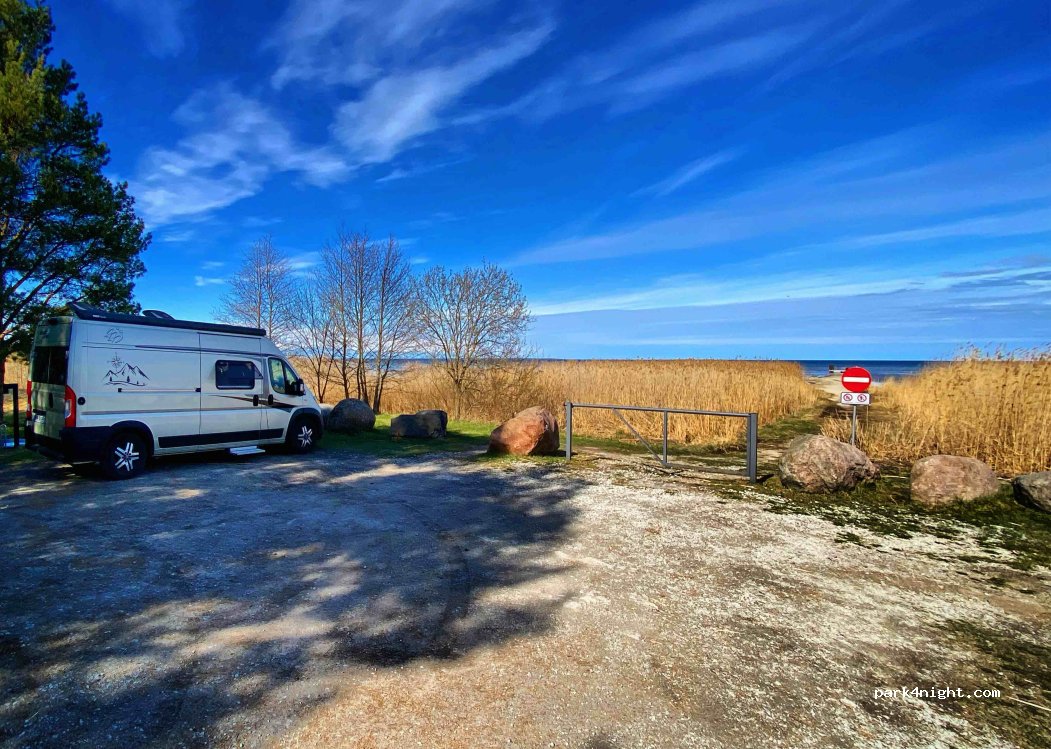 (74016) Randvere - 13 Niinepuu tee — foto 3