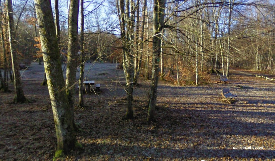 (52000) Chaumont - Route Forestière des Foyards — foto 2