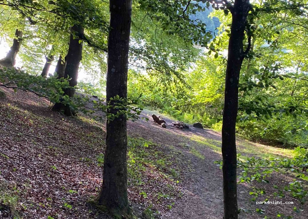 (247 98)  - Unnamed Road — foto
