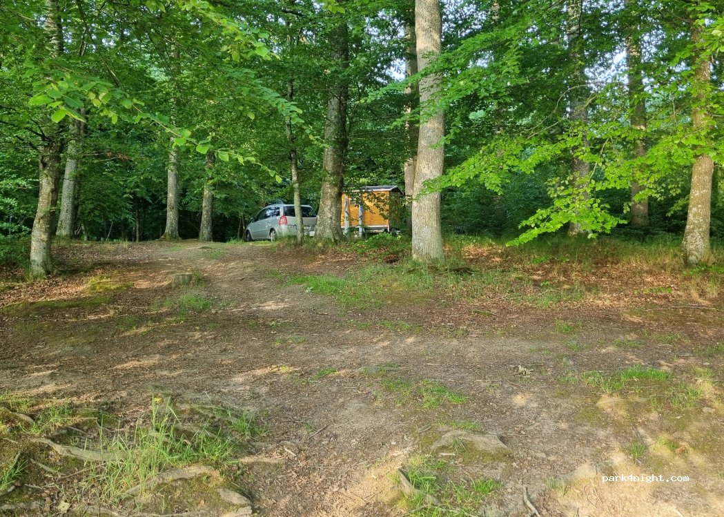 (247 98)  - Unnamed Road — foto 5