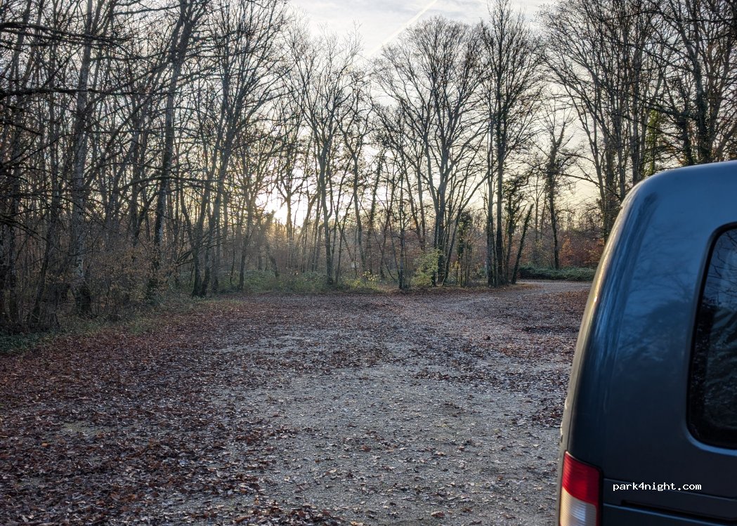 (52000) Chaumont - Route Forestière du Ve — foto 4