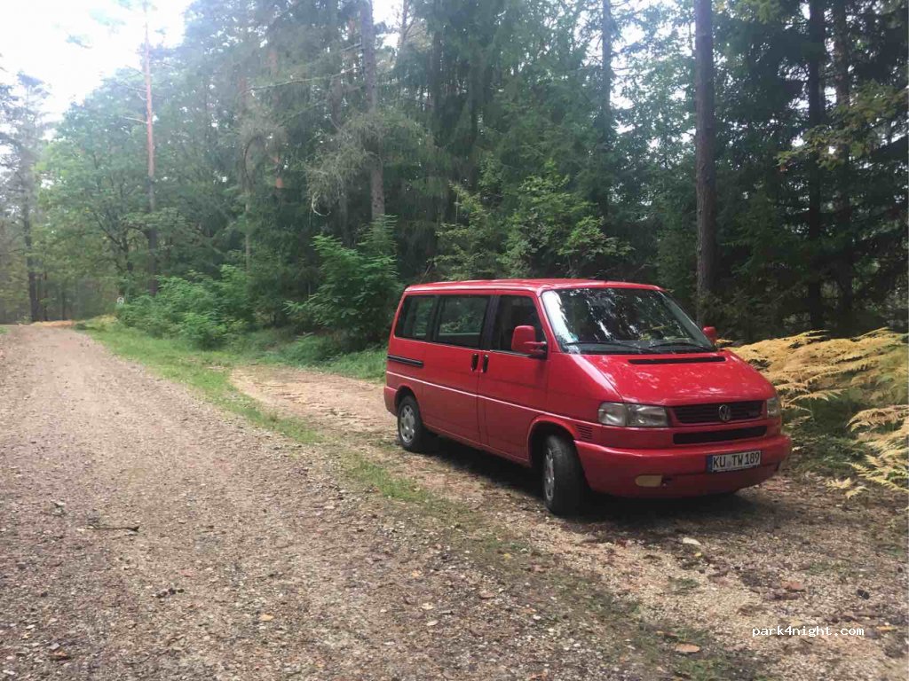 (91344) Löhlitzer Wald - BT2 — foto