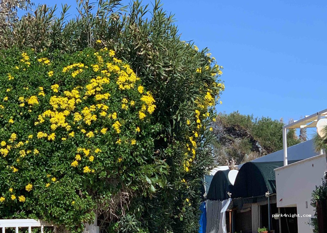 Camping Baia dei Corali — foto 4