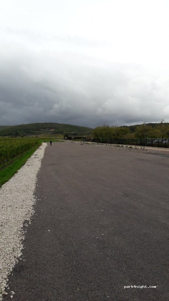 (21160) Marsannay-la-Côte - Chemin aux Vaches — foto