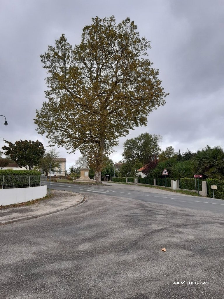 (47250) Cocumont - 2 Avenue du Grand Noir de la Calmette — foto 3