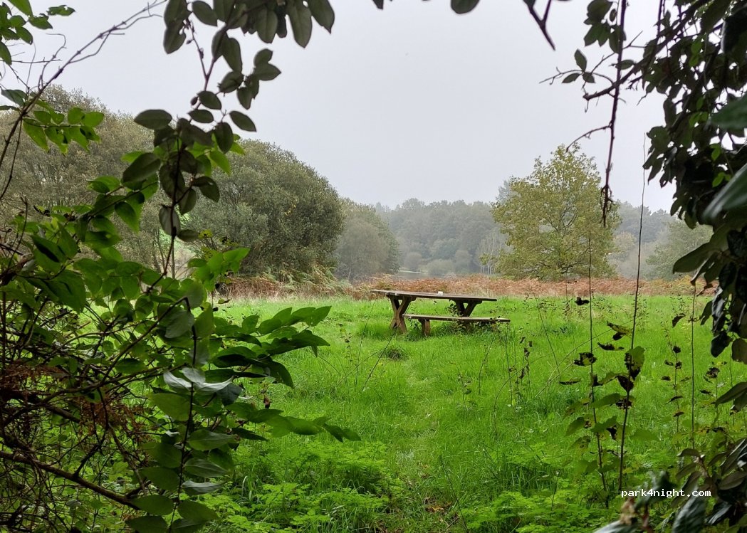 (85170) Dompierre-sur-Yon - 68 La Berthelière — foto 5