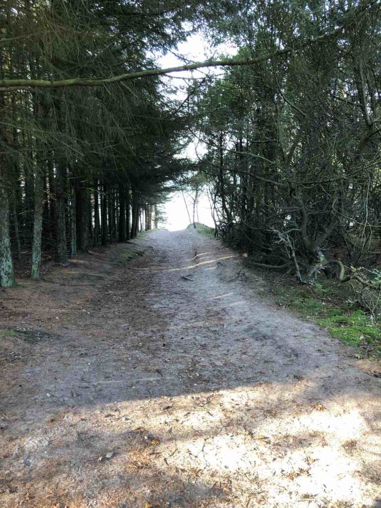 (6710) Esbjerg - 2 Nordre Skelvej — foto 3