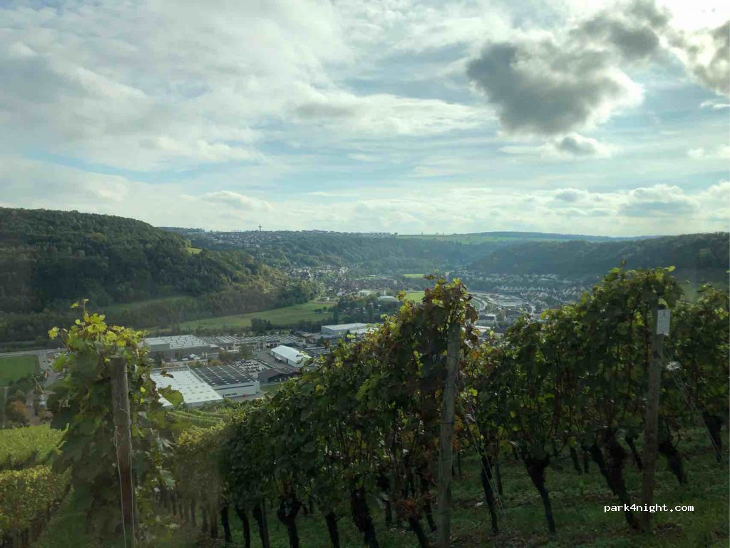 (74679) Weißbach - K2318 — foto 2