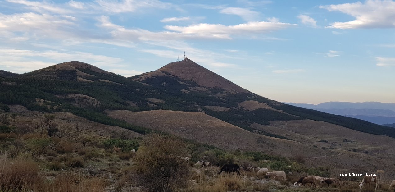 (04212) Senés - Camino de Bacares a Tahal — foto 2
