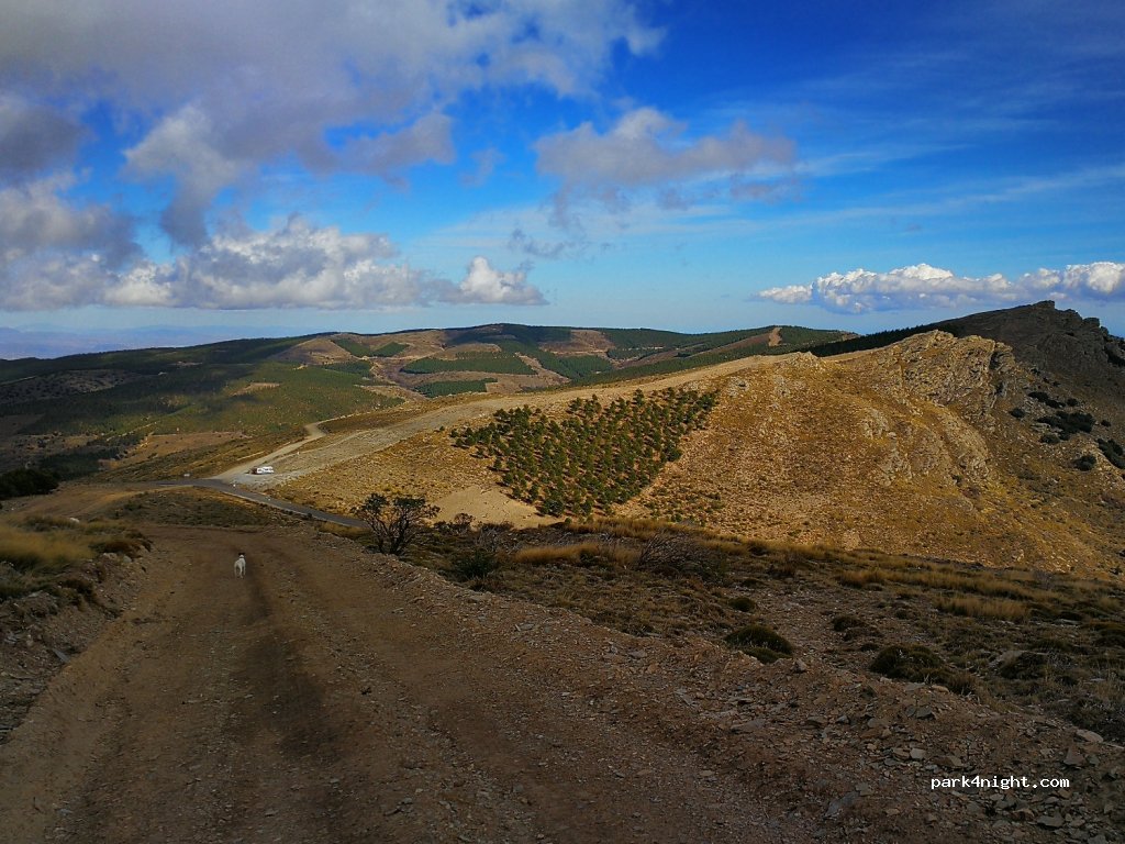 (04212) Senés - Camino de Bacares a Tahal — foto 3