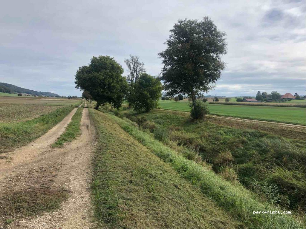 (3254) Balm bei Messen - 59 Hauptstrasse — foto 3