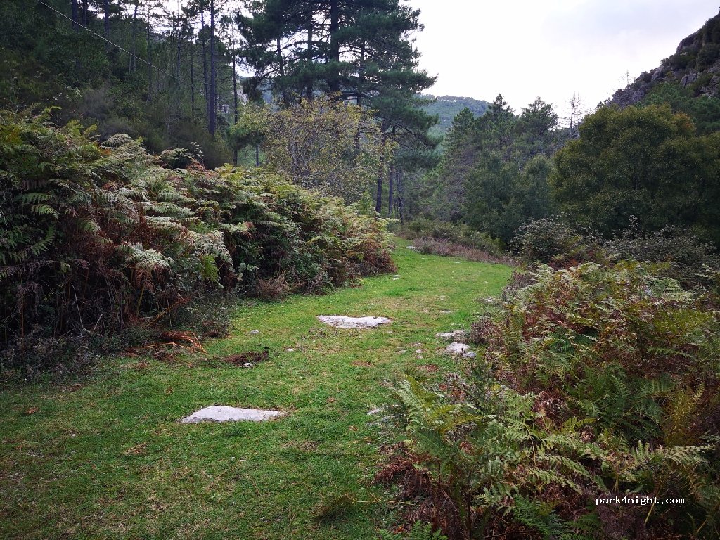 (20227) Ghisoni - D344 — foto 2