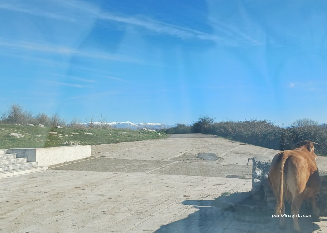 (00031) Artena - 40 Via Piano della Civiltà — foto 5