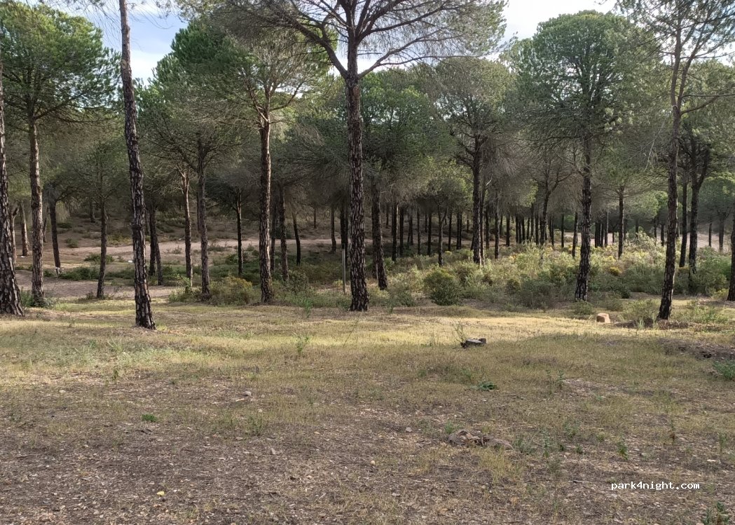 Área Recreativa Pedraza — foto 3