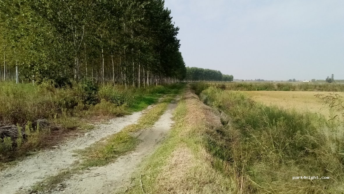 (15033) Casale Monferrato - Unnamed Road — foto 2