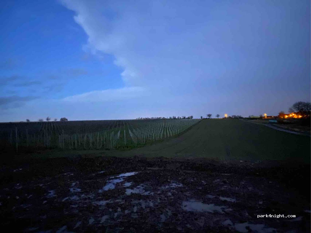 Weingut Volz — foto 2