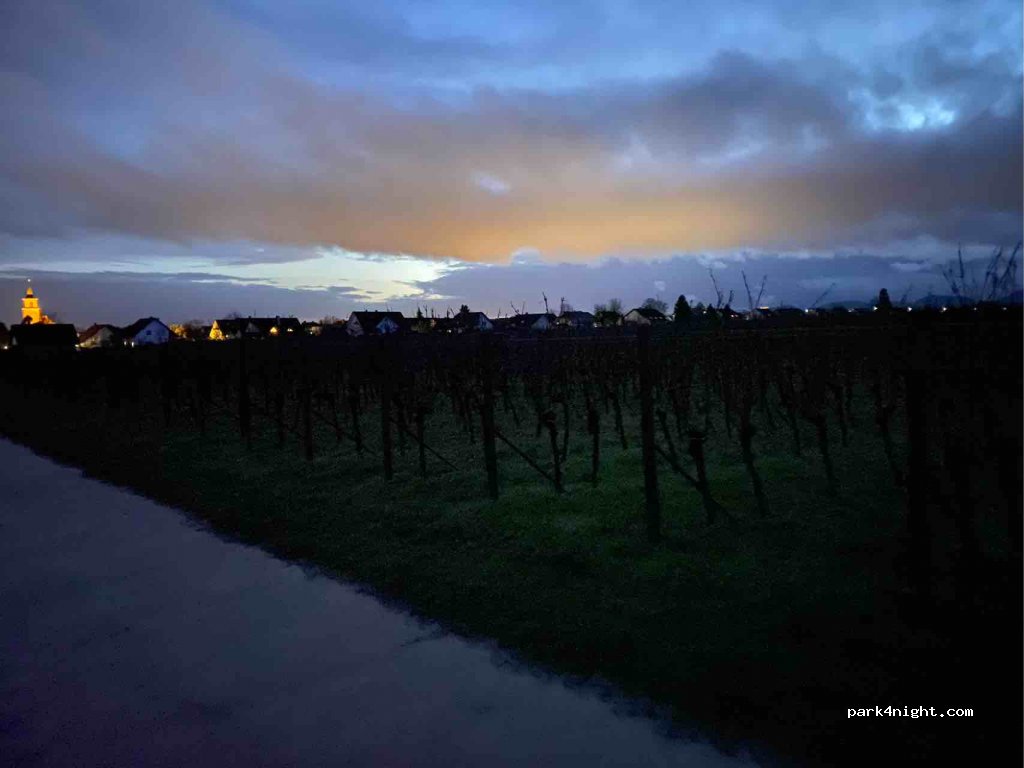 Weingut Volz — foto 3