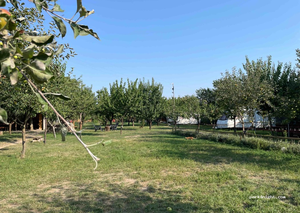 Camping Turtle Camp — foto 4