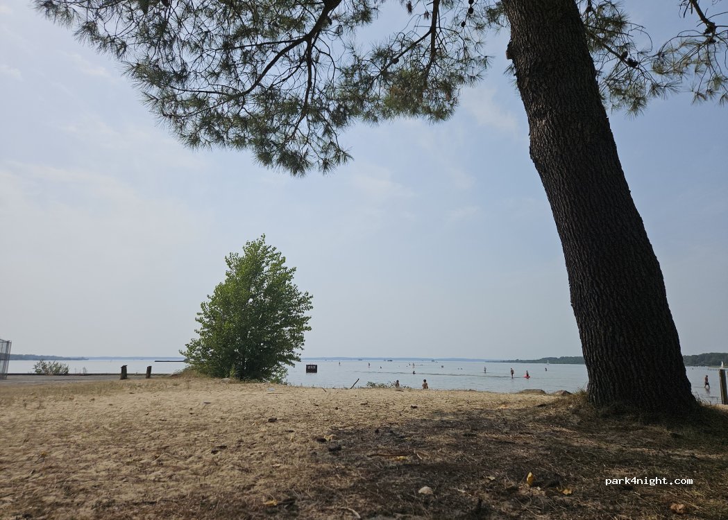 (40160) Parentis-en-Born - Route du Lac — foto 5
