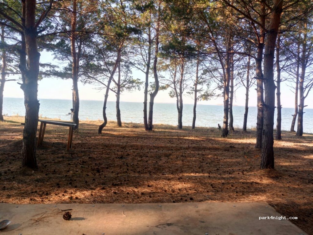 (633244) Bystrovka - Unnamed Road — foto 2
