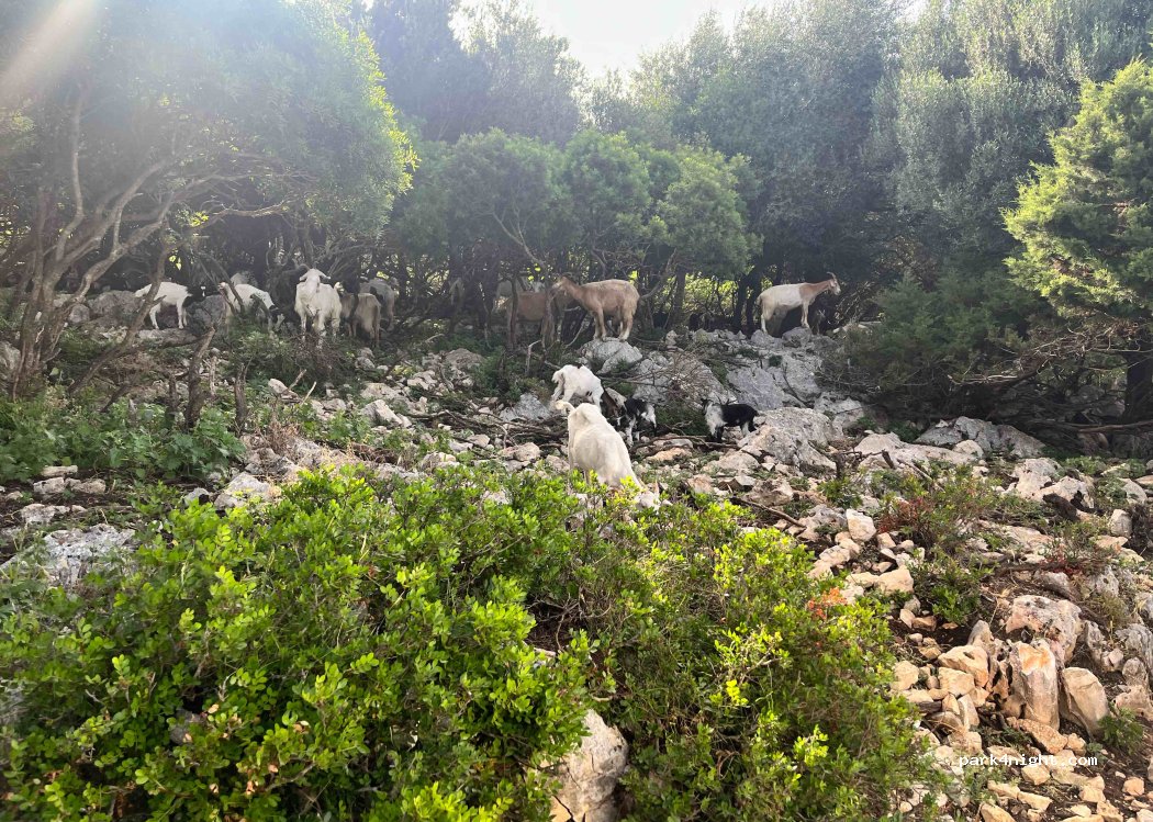 Agriturismo Nuraghe Mannu — foto 3