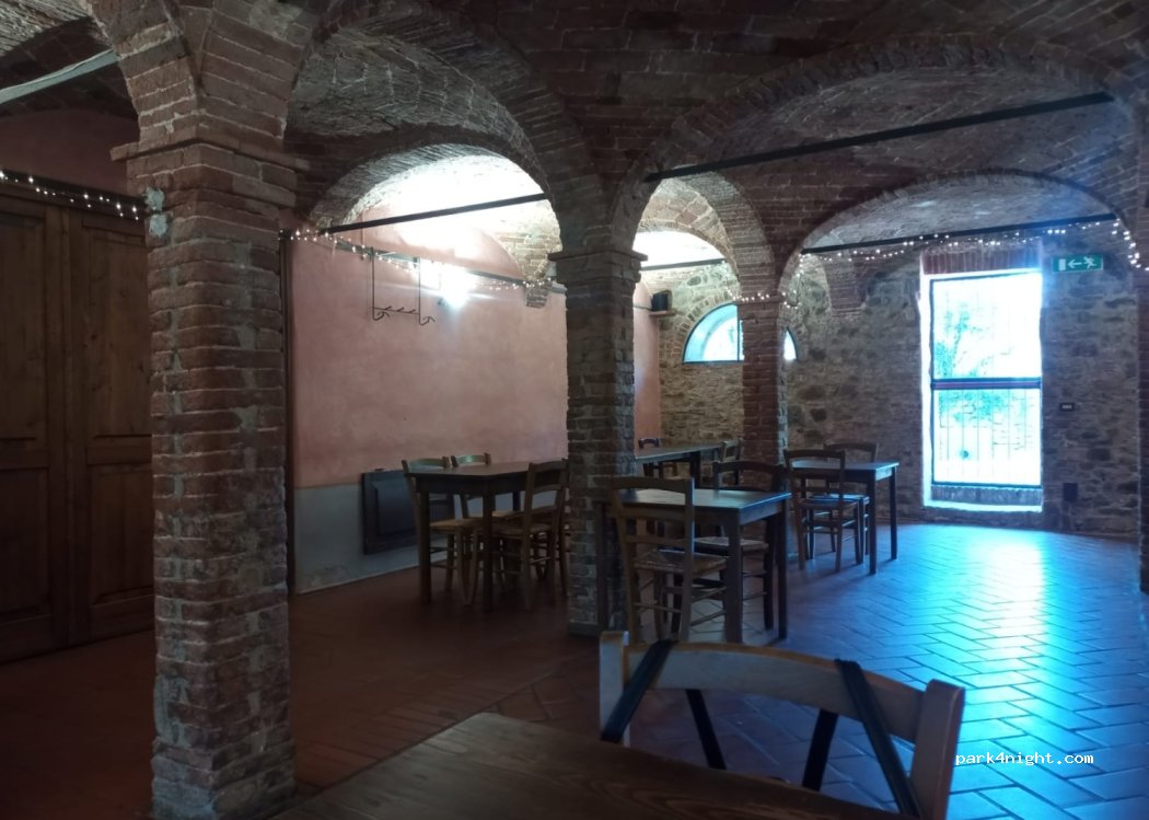 Dulcamara — foto 4