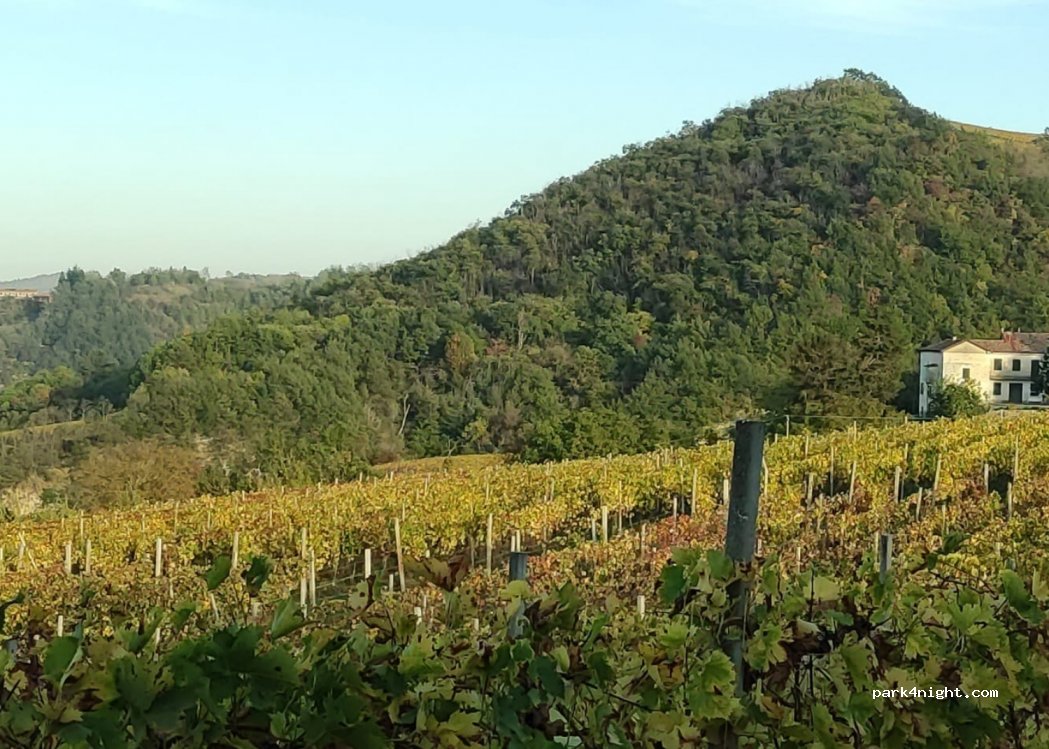 Agriturismo Rupestr — foto 2