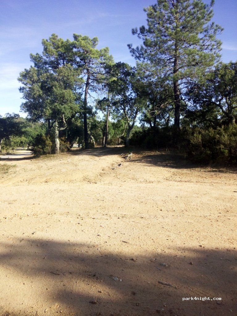 (83440) Saint-Paul-en-Forêt - 302 D4 — foto 2
