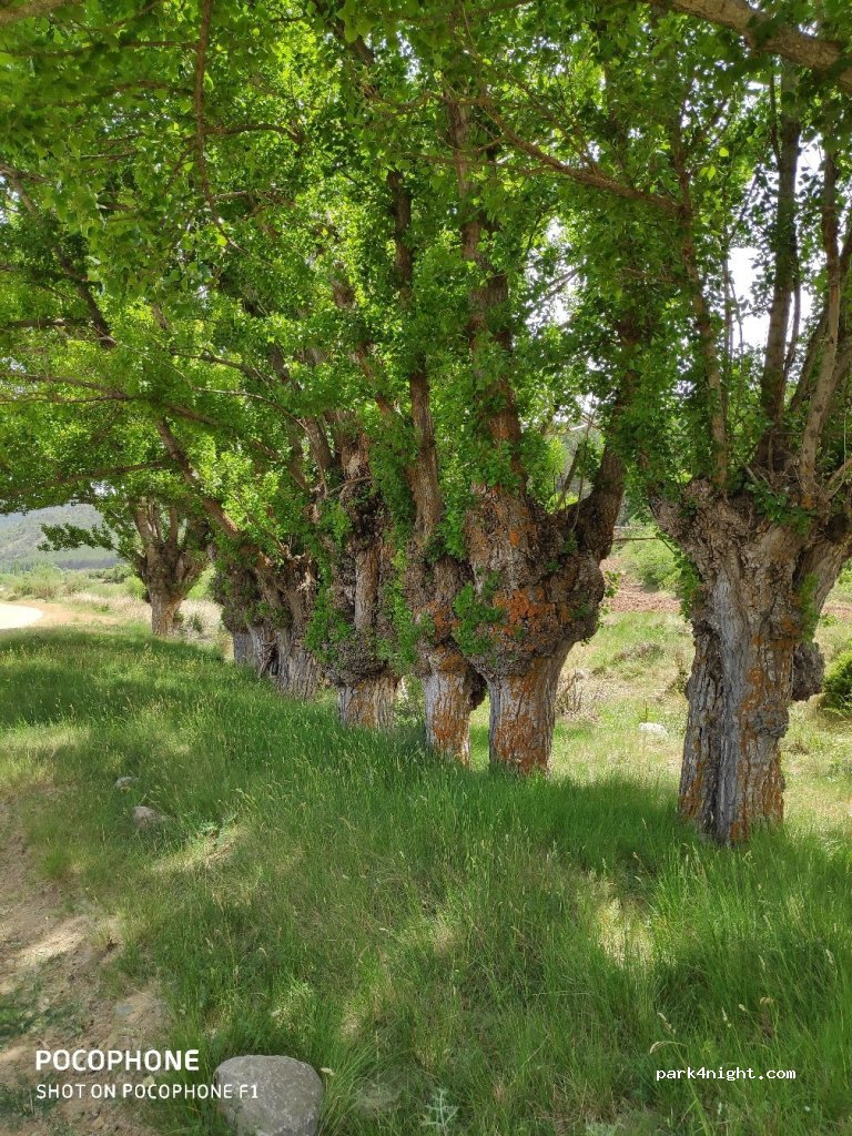 (44421) Torrijas - — foto 2
