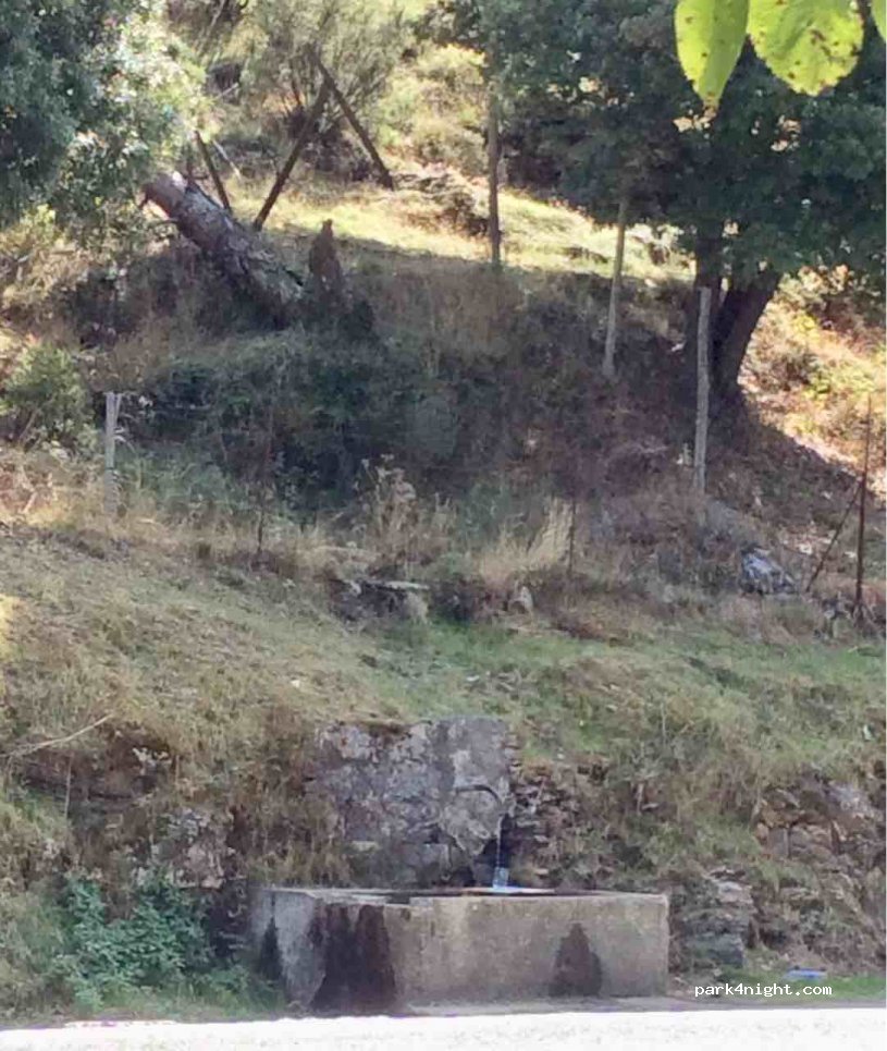 (08031) Aritzo - SS295 — foto
