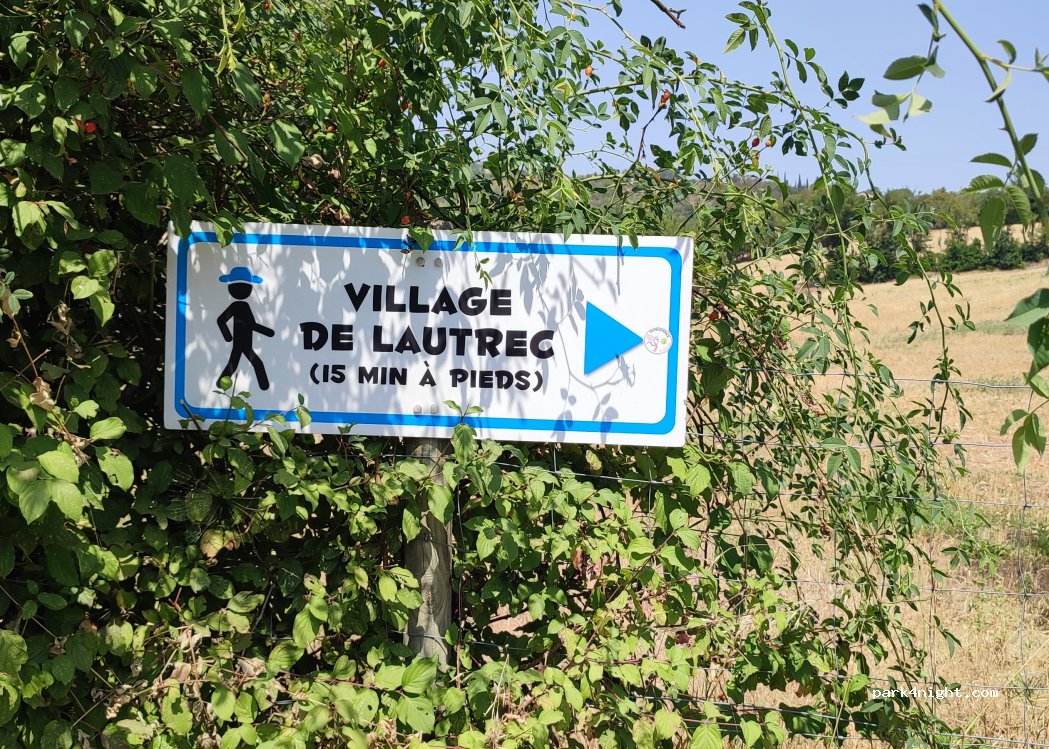 (81440) Lautrec - D92 — foto 5
