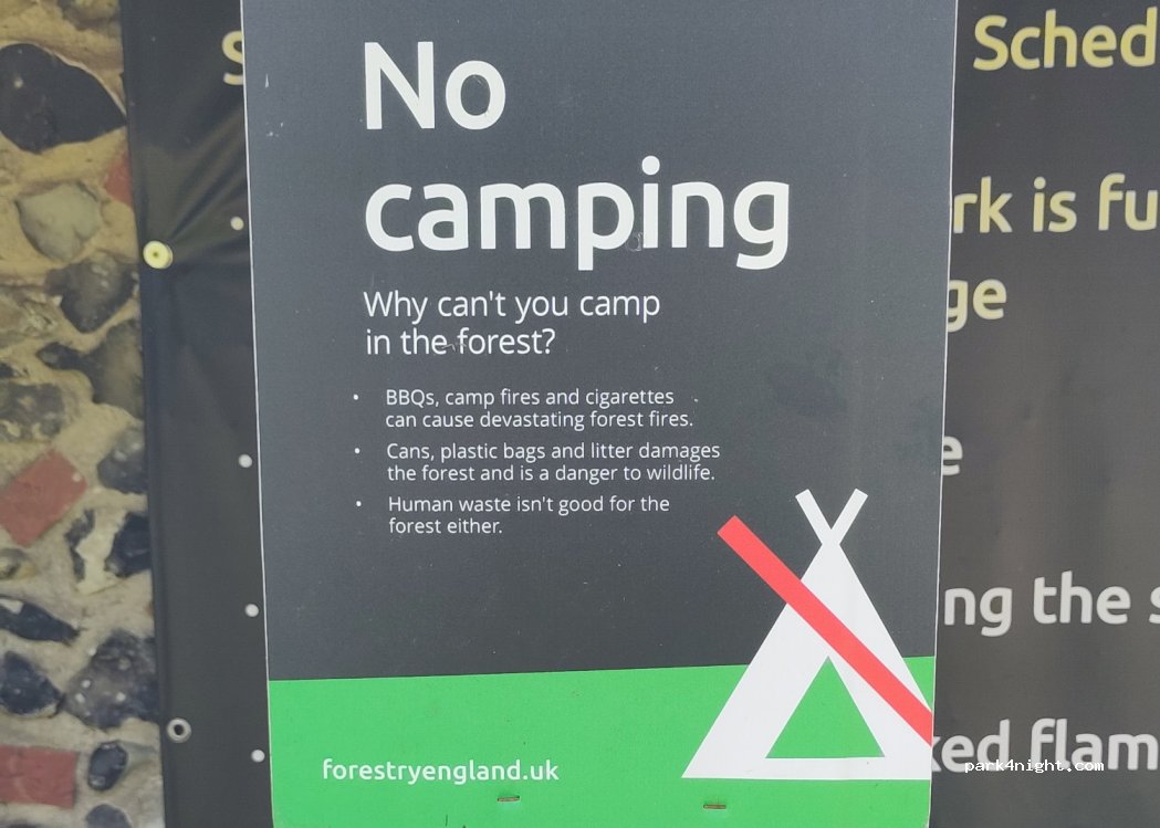 (IP27 0TT) Santon Downham - Unnamed Road St Helens picnic site — foto 3