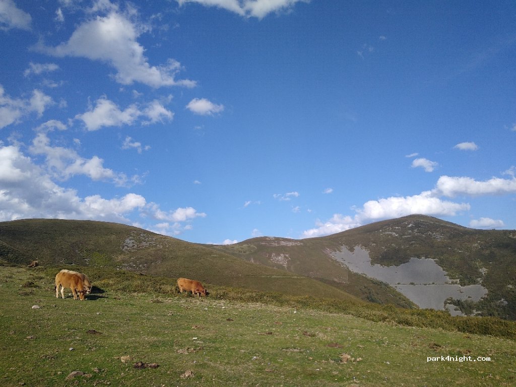 (33888) Asturias - AS-364 — foto 2