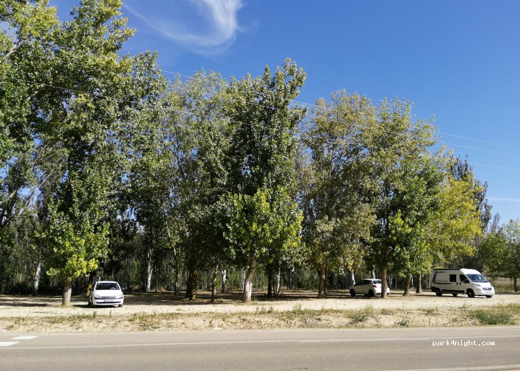 (47282) Trigueros del Valle - Unnamed Road — foto 3