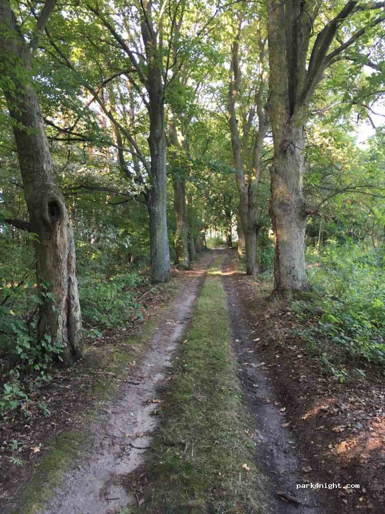 (63-507) Pisarzowice - 43A Pisarzowice — foto