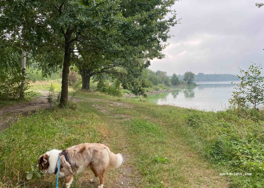 (43-241) Łąka - 19B Dąbrowskiego — foto 4