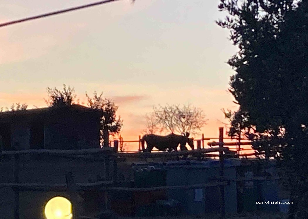 Perugia Farmhouse B & B — foto 2