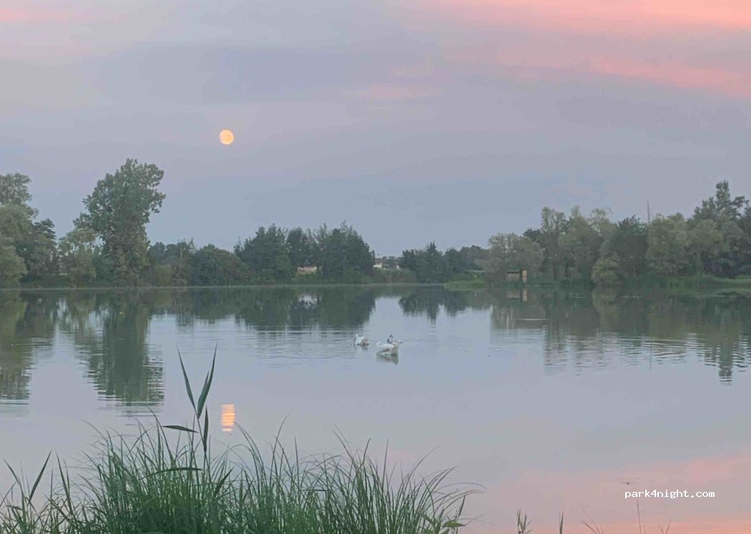 (01570) Feillens - Route de Vésines — foto 4