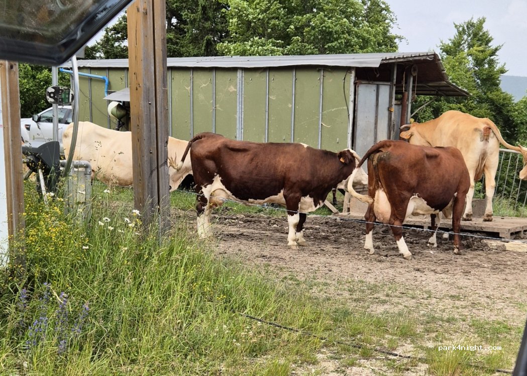 (38112) Méaudre - Unnamed Road — foto 4