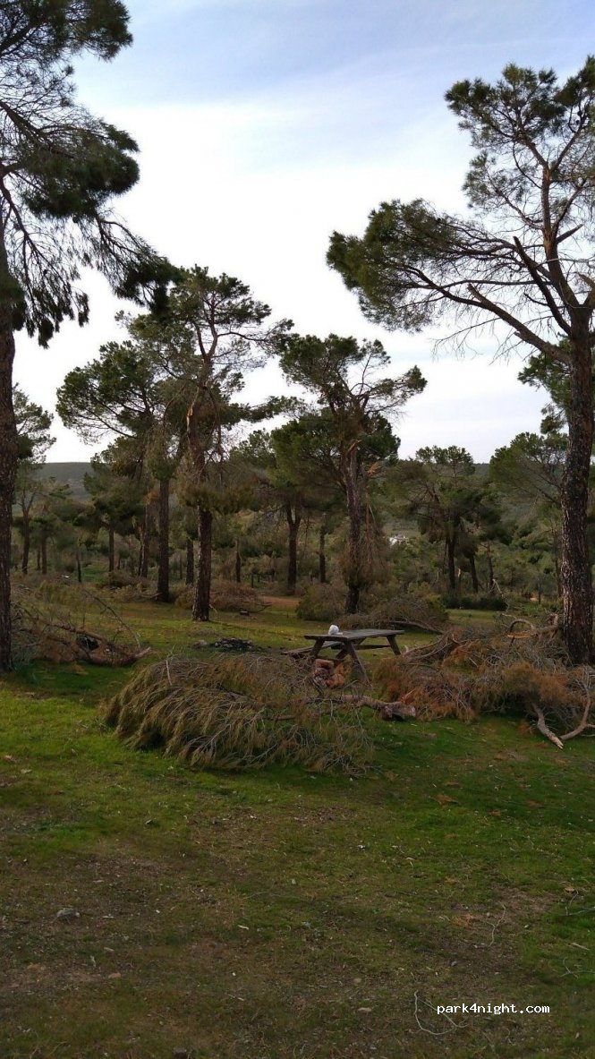 (45710) Madridejos - Unnamed Road — foto 3