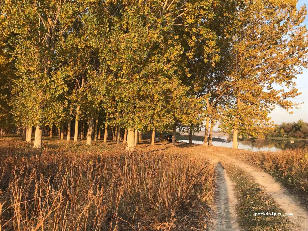 (22306) Belegiš - Ilije Pejinovića — foto 2