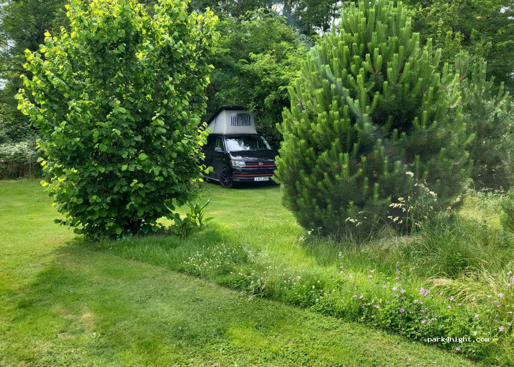 (40270) Larrivière-Saint-Savin - 279 Chemin de Berges — foto 3