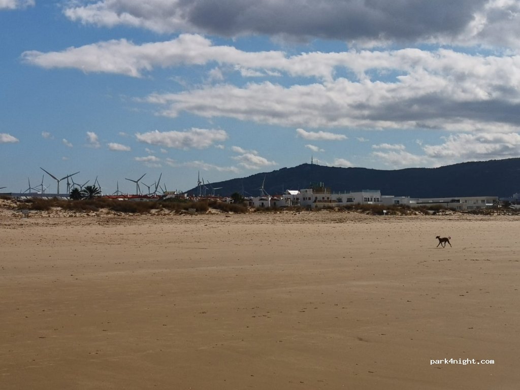 (11393) Zahara de los Atunes - 36E Paseo del Pradillo — foto