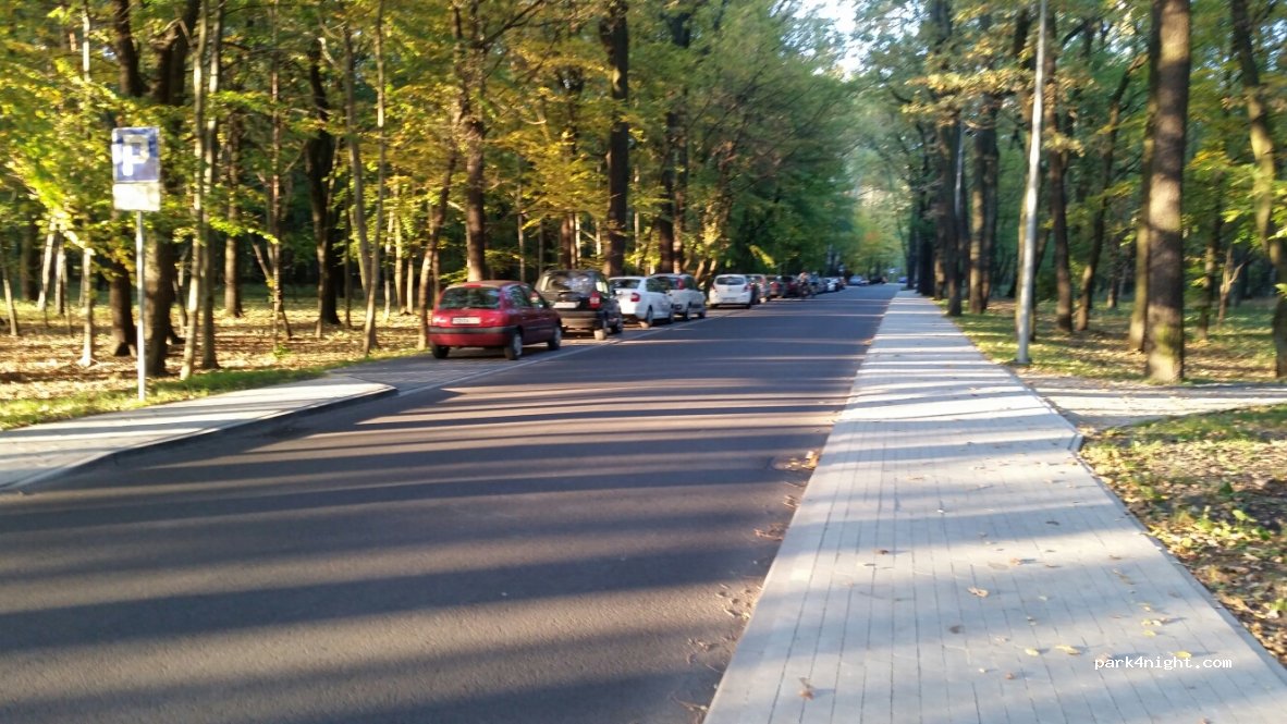 (41-300) Dąbrowa Górnicza - Letnia — foto 3