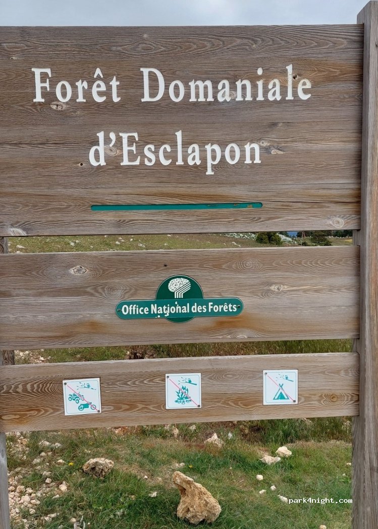 (06750) La Roque-Esclapon - Route Forestière du Lachens — foto 3