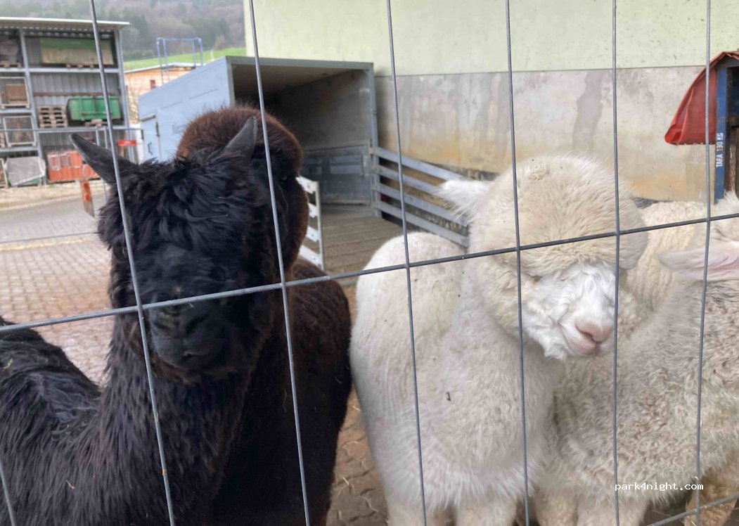 Edmund Herbst Landwirtschaft — foto 3