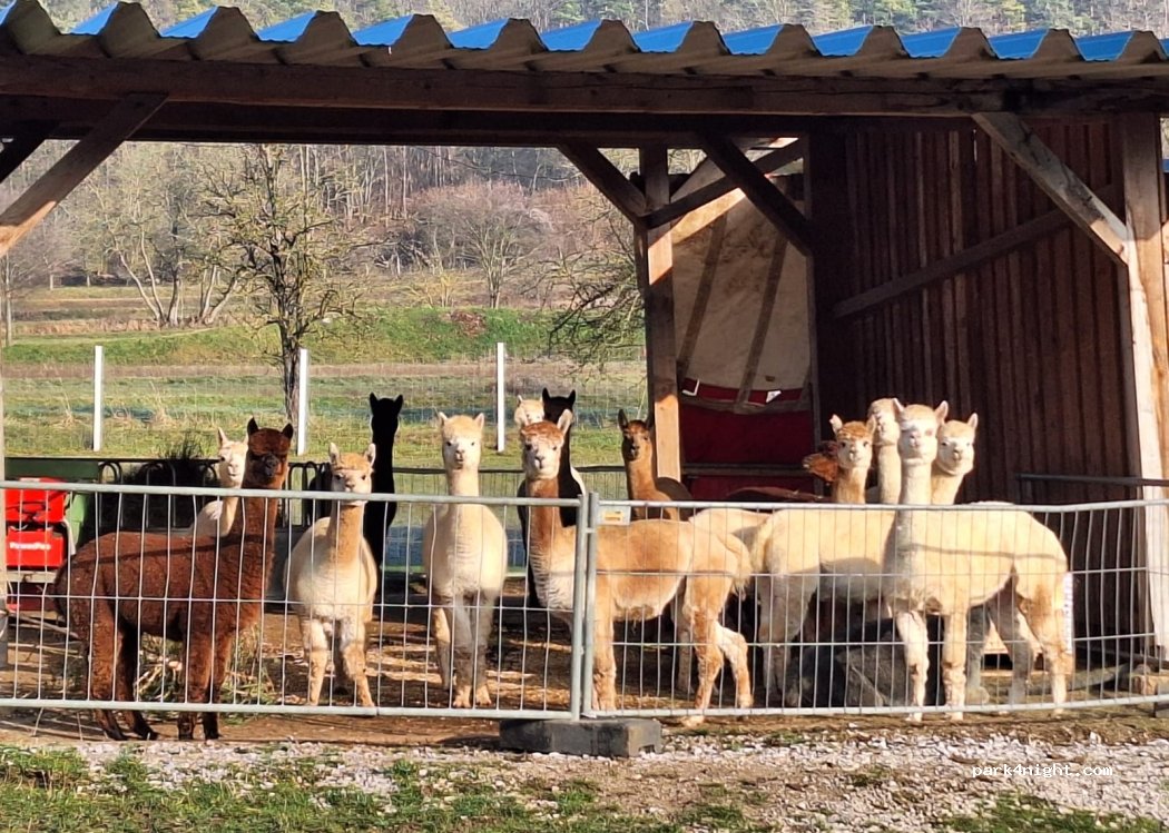 Edmund Herbst Landwirtschaft — foto 5