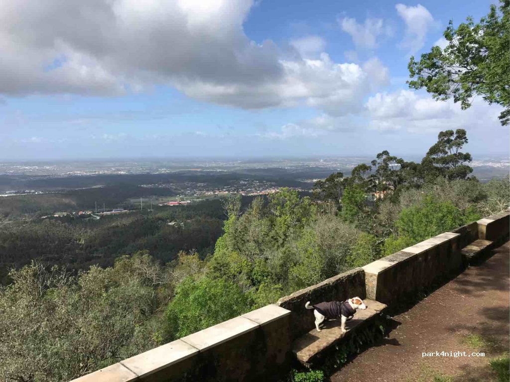 (3050-261) Luso - Estrada Florestal — foto 2