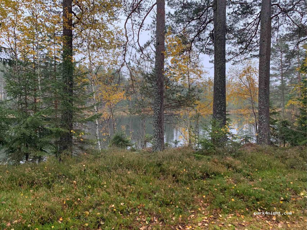 (691 91) Runsas - Unnamed Road — foto 3